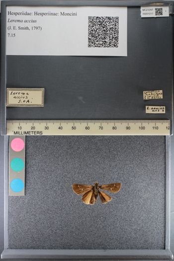 Media type: image;   Entomology 201217